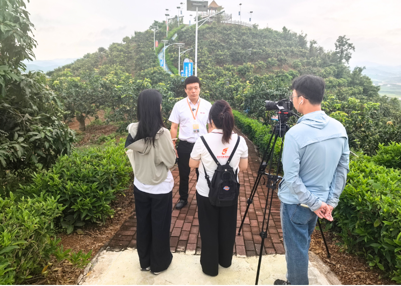 壹品慧千万订单签约百色芒果，助力桂果香飘全国