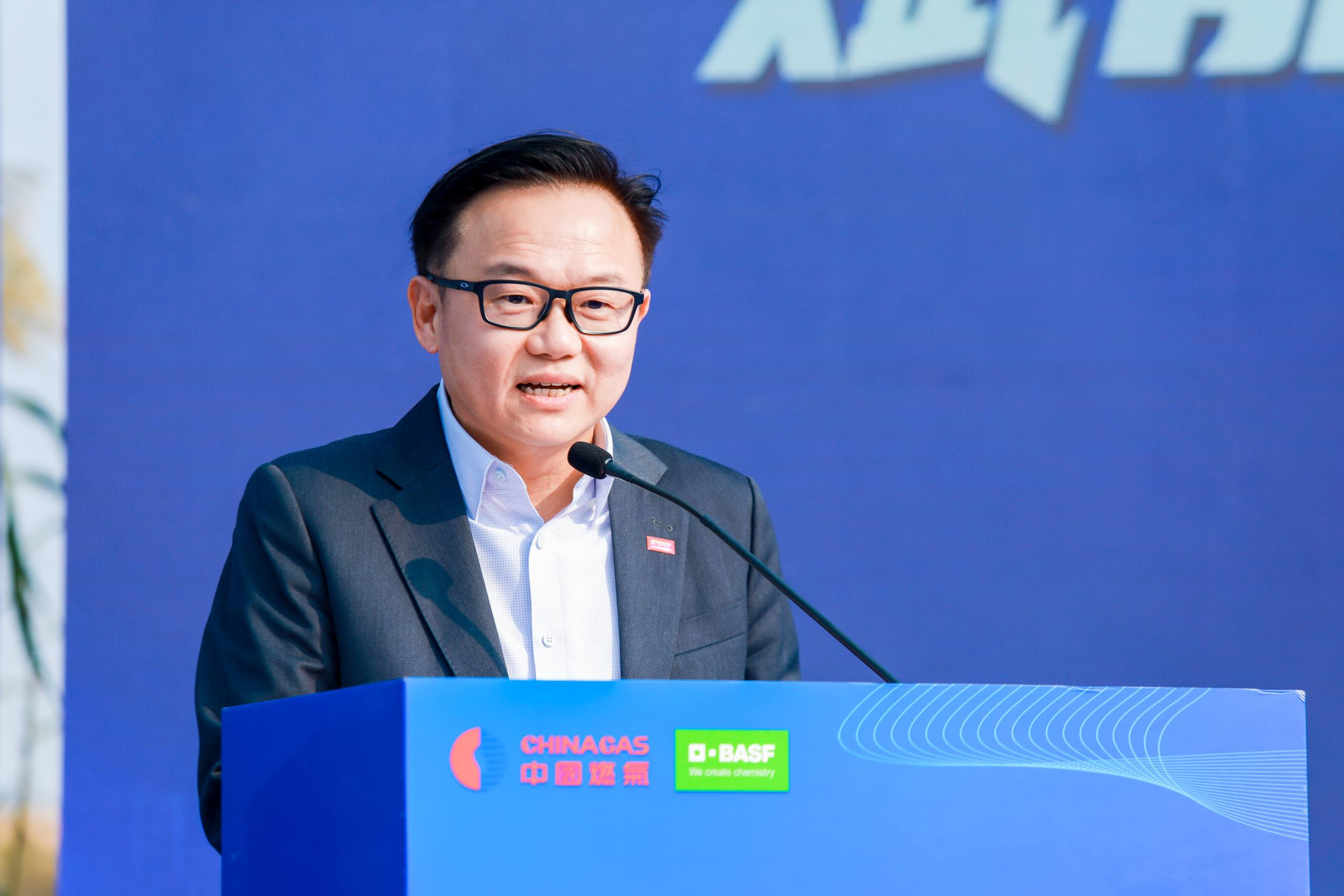 中国燃气携手巴斯夫杉杉打造大型智能储能电站投运 推动区域能源结构优化升级